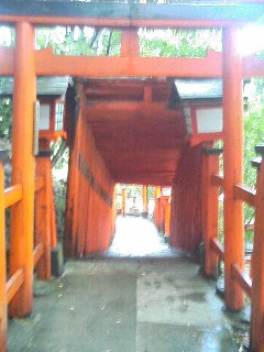 イメージ 11