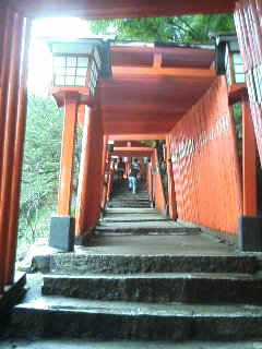 イメージ 8
