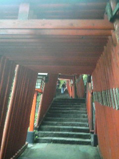 イメージ 9