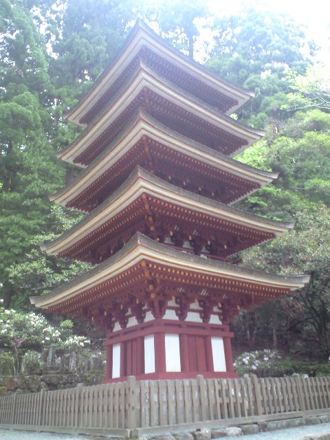 イメージ 3
