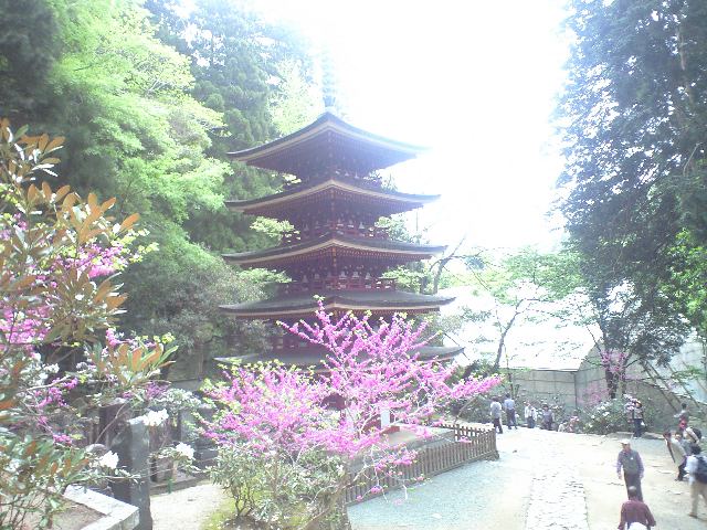 イメージ 4