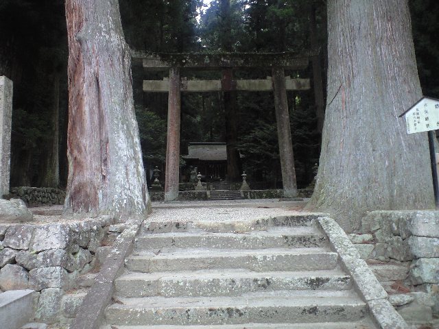 イメージ 6