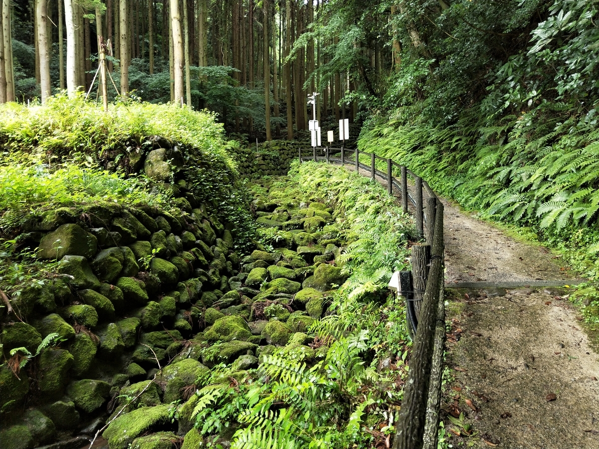 f:id:tairyou:20190628112533j:plain