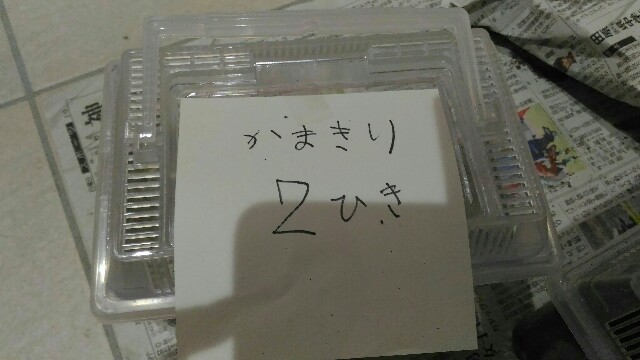 f:id:taisakovic:20190719214357j:image