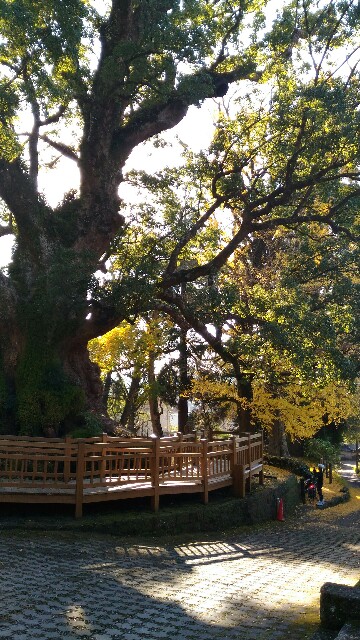 f:id:taisakovic:20191203173714j:image f:id:taisakovic:20191203173714j:image