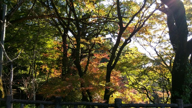 f:id:taisakovic:20191203173733j:image f:id:taisakovic:20191203173733j:image