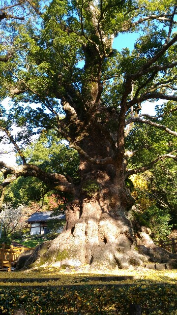 f:id:taisakovic:20191203173833j:image f:id:taisakovic:20191203173833j:image