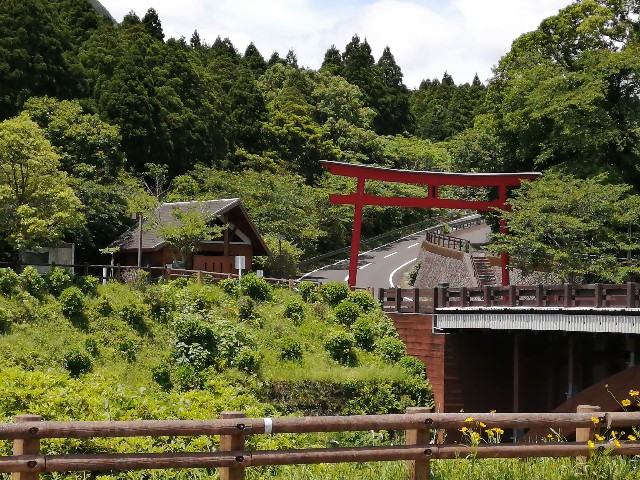 f:id:taisakovic:20200520155400j:image f:id:taisakovic:20200520155400j:image