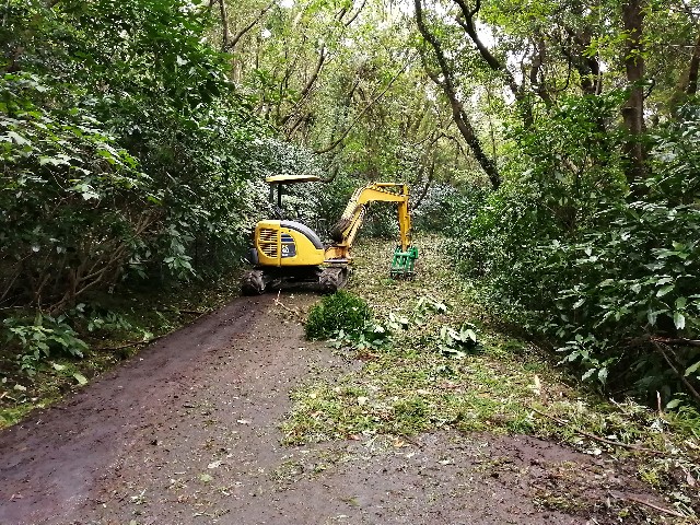 f:id:taisakovic:20200909160255j:image f:id:taisakovic:20200909160255j:image