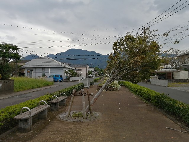 f:id:taisakovic:20200911134229j:image f:id:taisakovic:20200911134229j:image