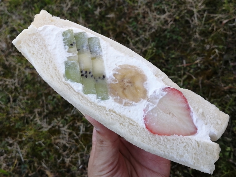 f:id:taisakovic:20210127145710j:plain