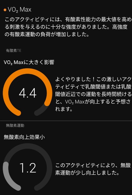 f:id:taisakovic:20210501234445j:image f:id:taisakovic:20210501234445j:image