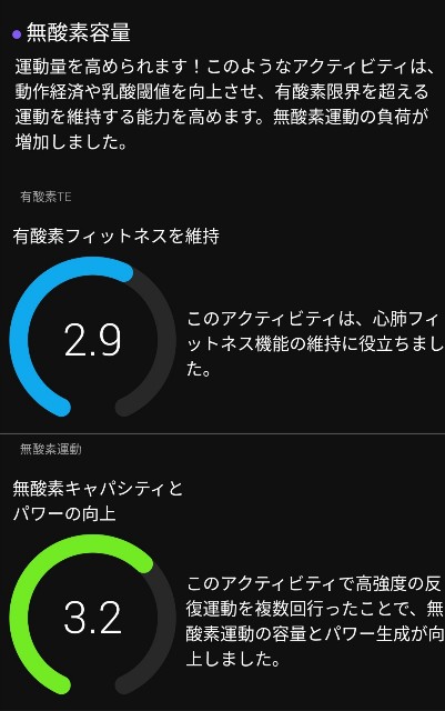 f:id:taisakovic:20210518202529j:image