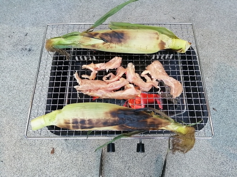 f:id:taisakovic:20210530083735j:plain