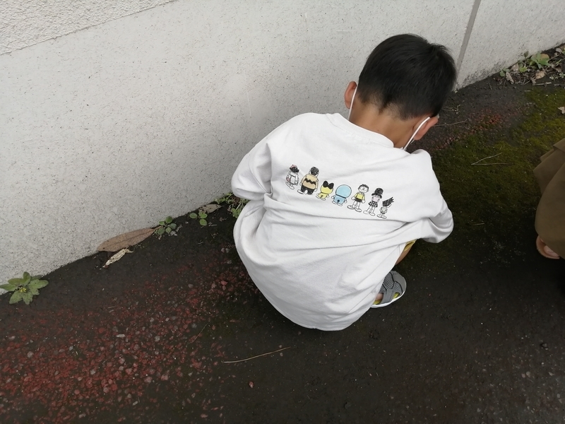 f:id:taisakovic:20210712000816j:plain