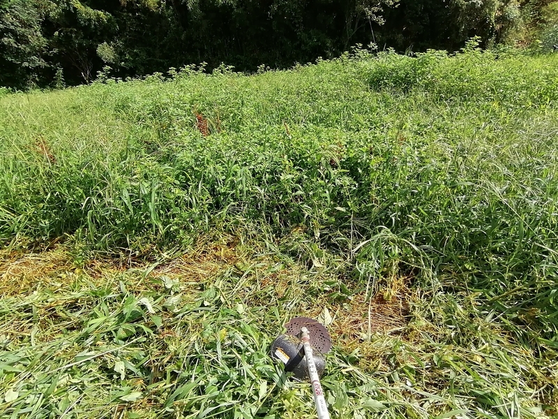f:id:taisakovic:20210901121013j:plain