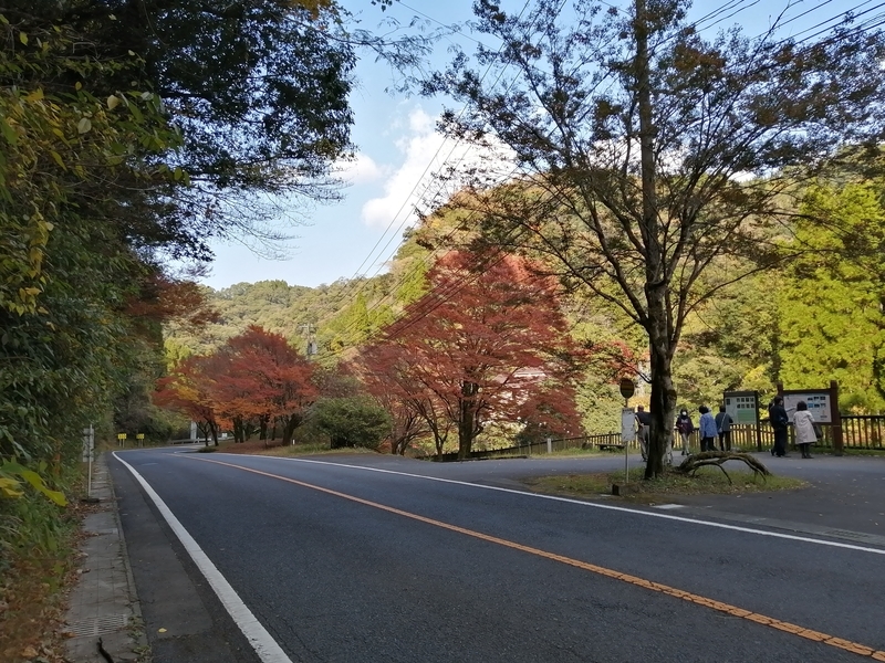 f:id:taisakovic:20211121170636j:plain