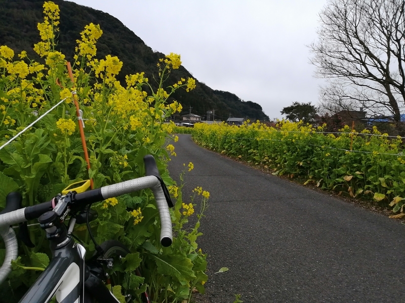 f:id:taisakovic:20220130183305j:plain