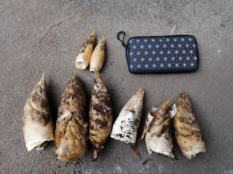 f:id:taisakovic:20220313172626j:plain