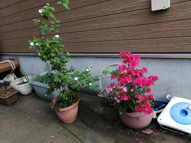 f:id:taisakovic:20220414131320j:plain