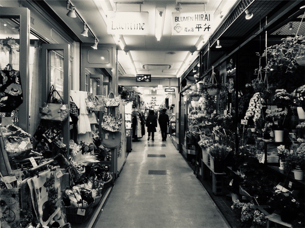f:id:taiseiaoki:20190301190236j:image f:id:taiseiaoki:20190301190236j:image