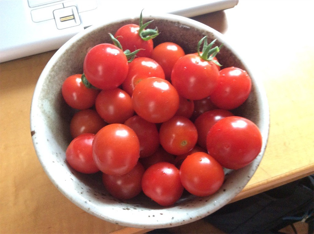 f:id:taiseiaoki:20190813111311j:image f:id:taiseiaoki:20190813111311j:image