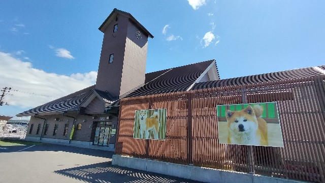 f:id:taiseikankarate:20250809220505j:image