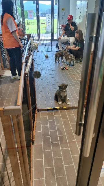 f:id:taiseikankarate:20250809220518j:image