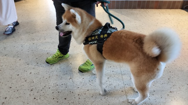 f:id:taiseikankarate:20250809220538j:image