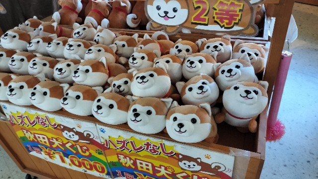 f:id:taiseikankarate:20250809220552j:image