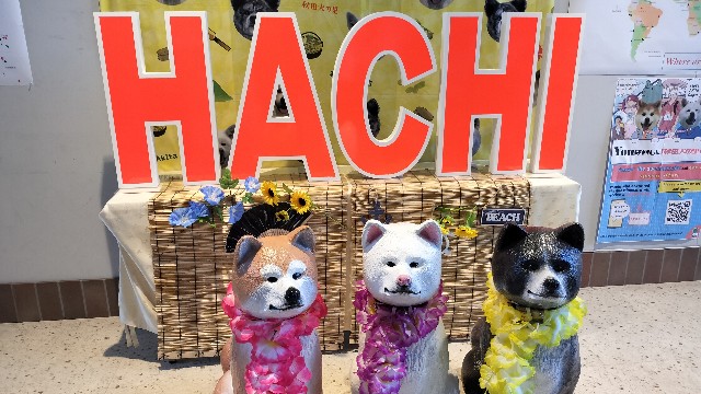 f:id:taiseikankarate:20250809220609j:image