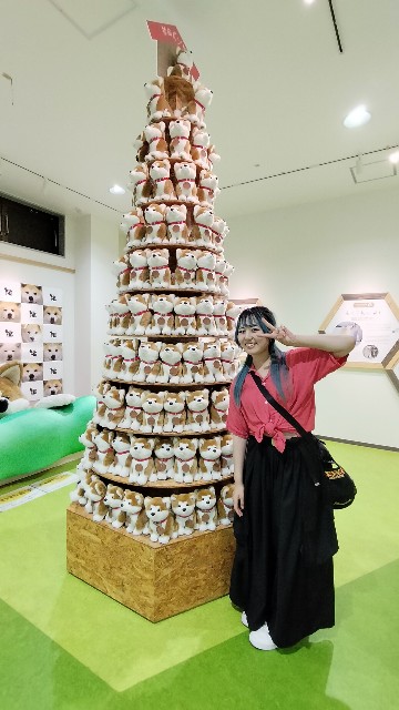 f:id:taiseikankarate:20250809220627j:image