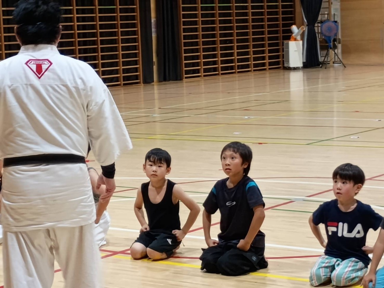 f:id:taiseikankarate:20260714232812j:image f:id:taiseikankarate:20260714232812j:image