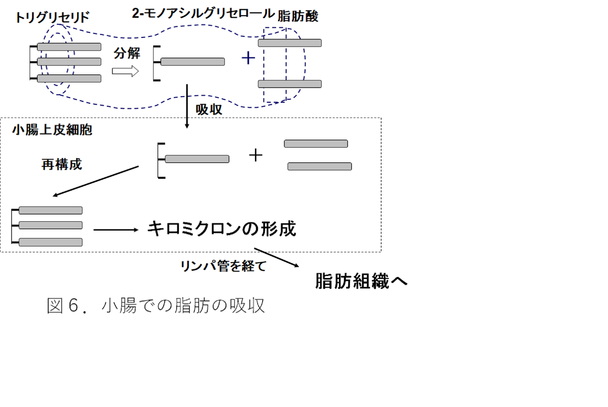 f:id:taisha1:20220112100756p:plain