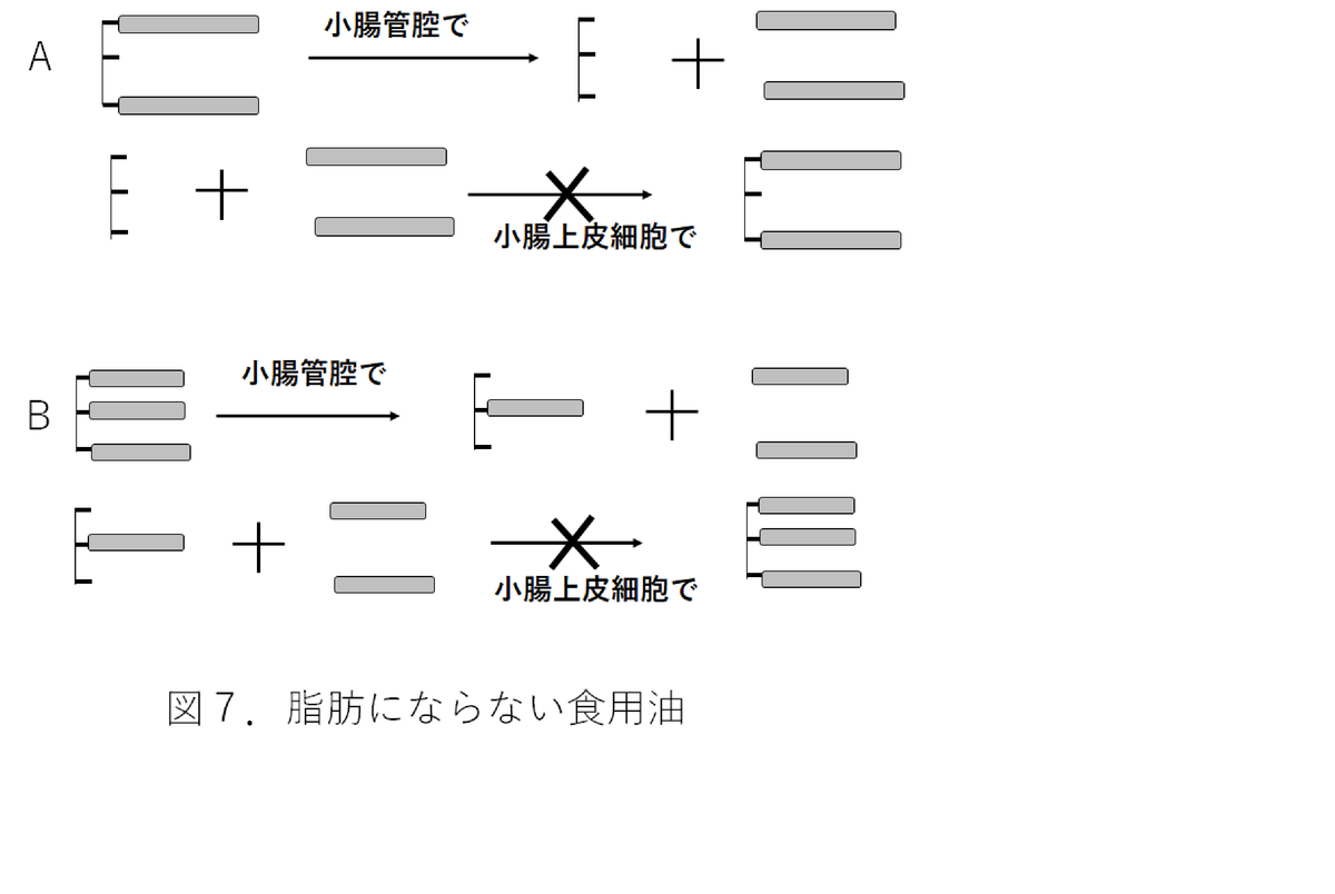 f:id:taisha1:20220112101453p:plain