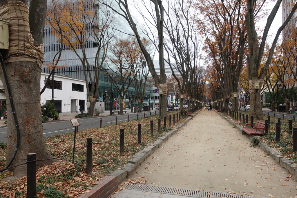 f:id:taishibouritsu:20171206113758j:plain f:id:taishibouritsu:20171206113758j:plain