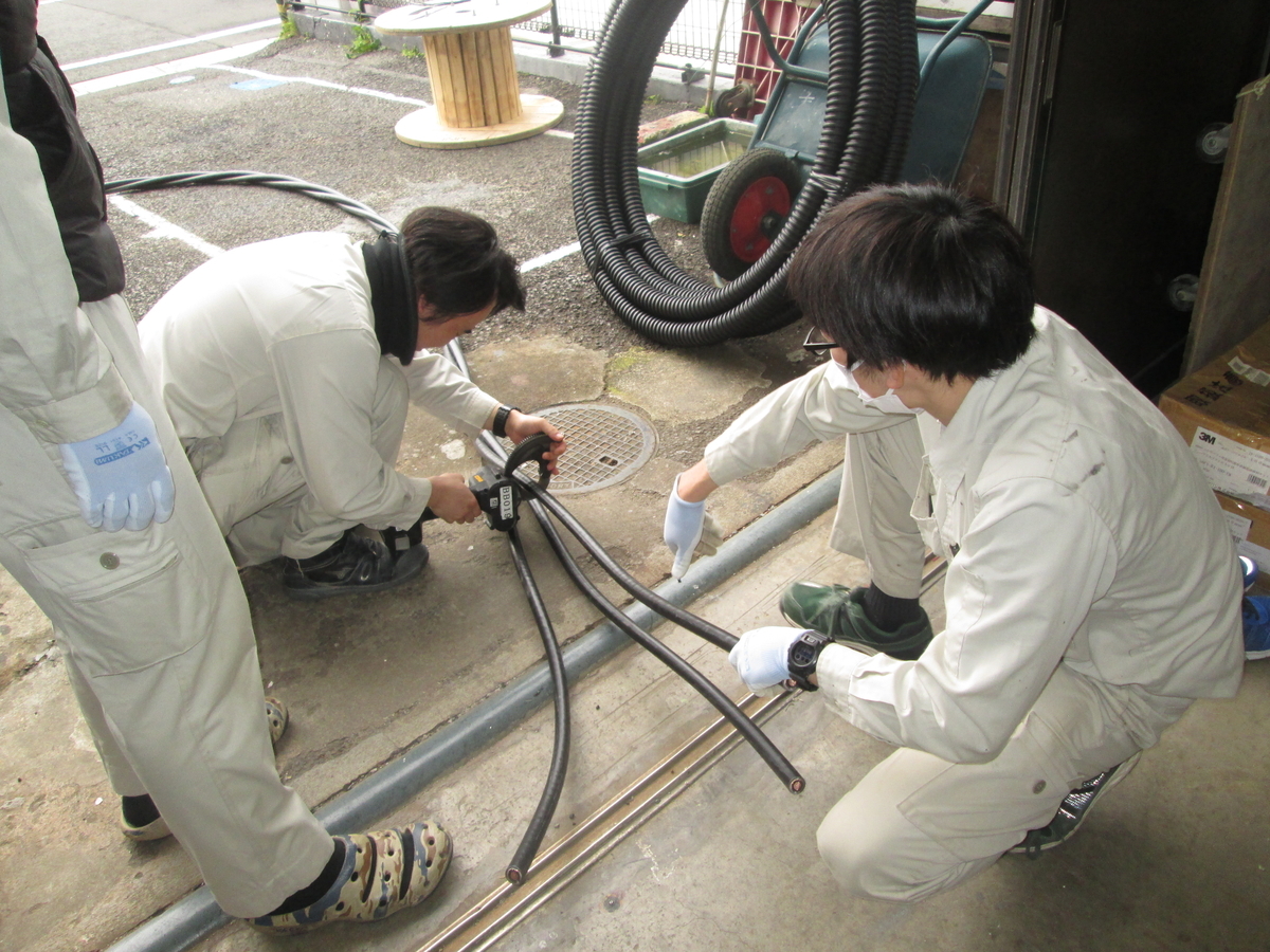 f:id:taishin_BLOG:20200402154505j:plain f:id:taishin_BLOG:20200402154505j:plain