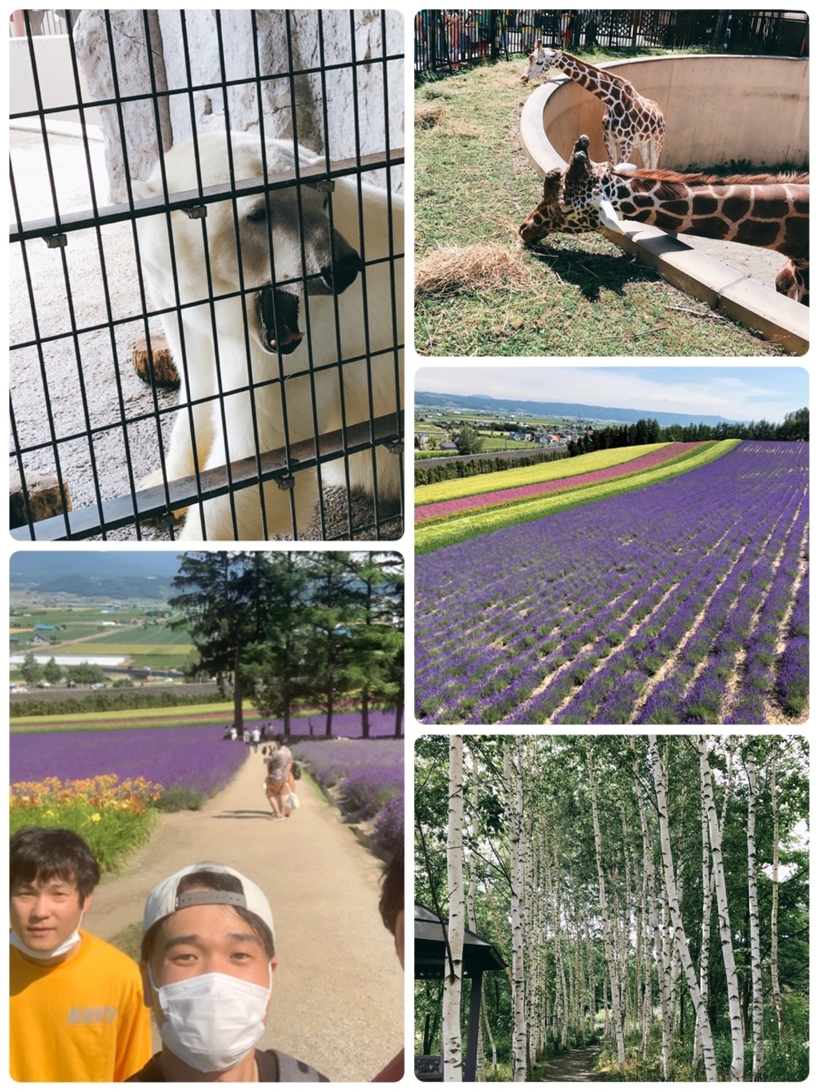 f:id:taishin_BLOG:20200819102420j:plain f:id:taishin_BLOG:20200819102420j:plain