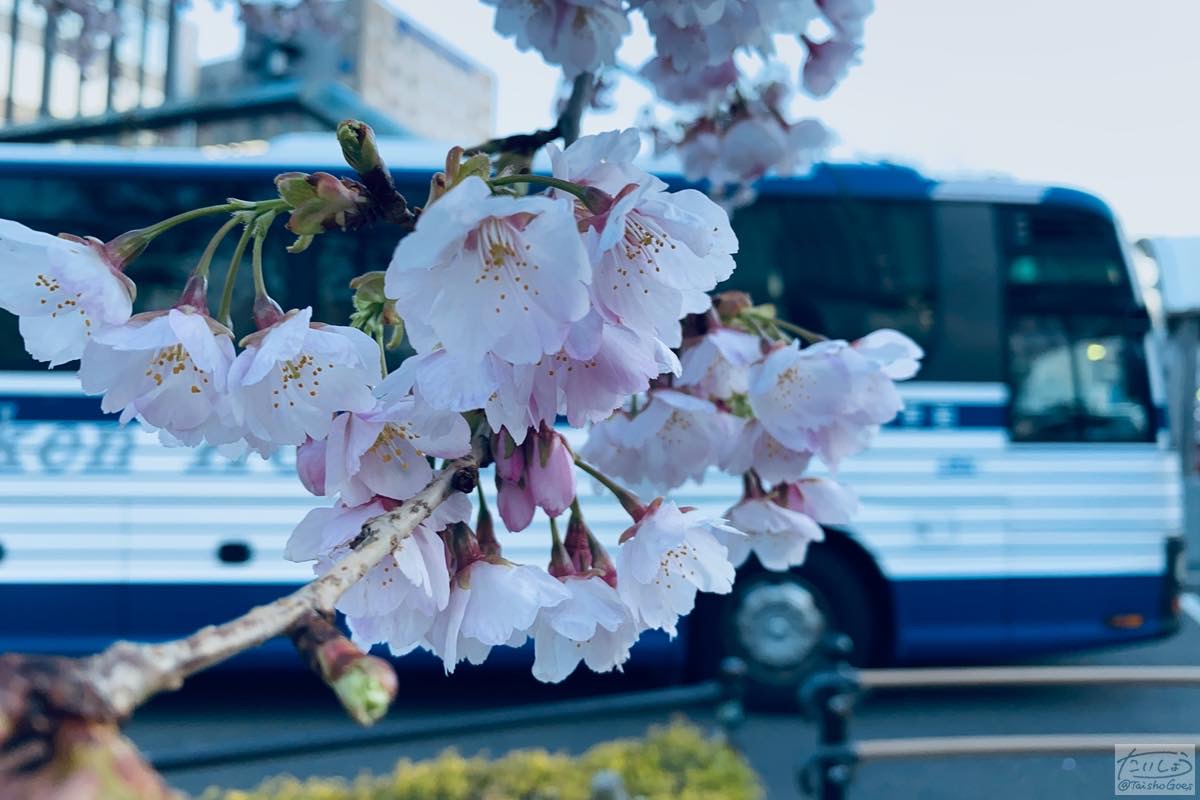 f:id:taisho_goes:20200321204936j:plain