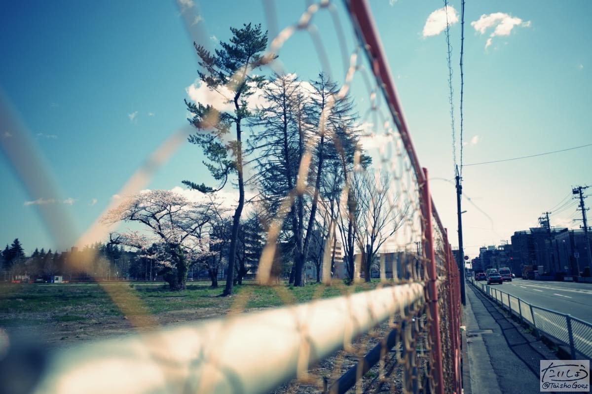 f:id:taisho_goes:20200418183452j:plain