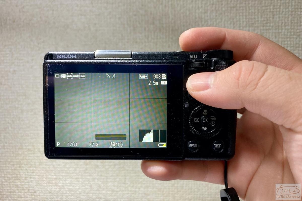 f:id:taisho_goes:20200418183538j:plain