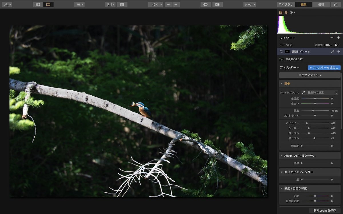現像ソフト Luminar 3 が無料公開中ですって 大将がゆく
