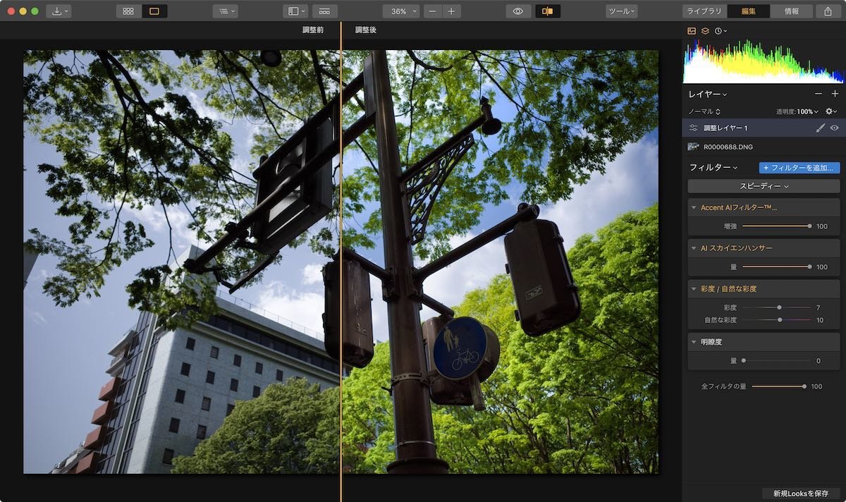 現像ソフト Luminar 3 が無料公開中ですって 大将がゆく
