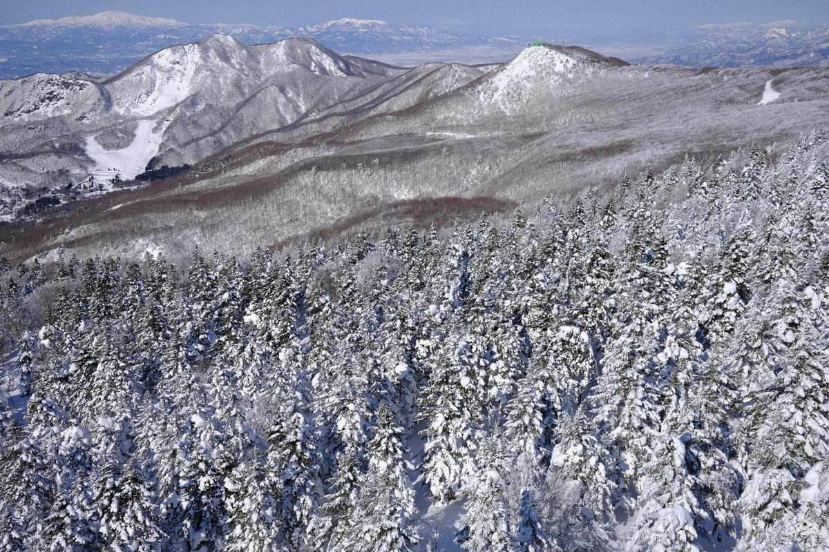 f:id:taisho_goes:20210207204452j:plain