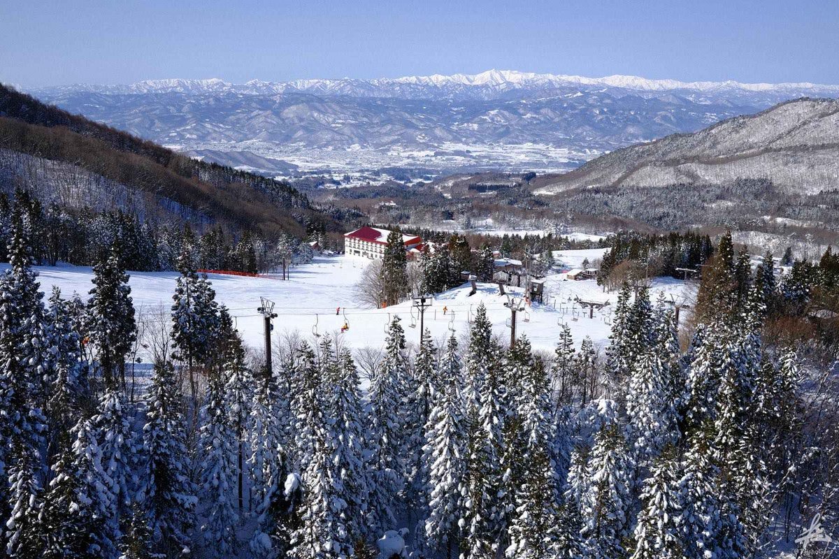 f:id:taisho_goes:20210207204555j:plain