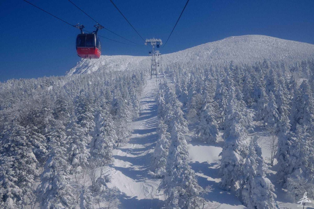 f:id:taisho_goes:20210207204857j:plain