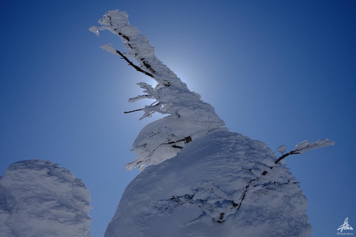 f:id:taisho_goes:20210207205025j:plain