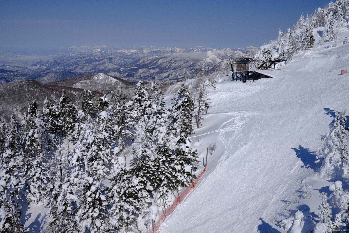 f:id:taisho_goes:20210207205309j:plain