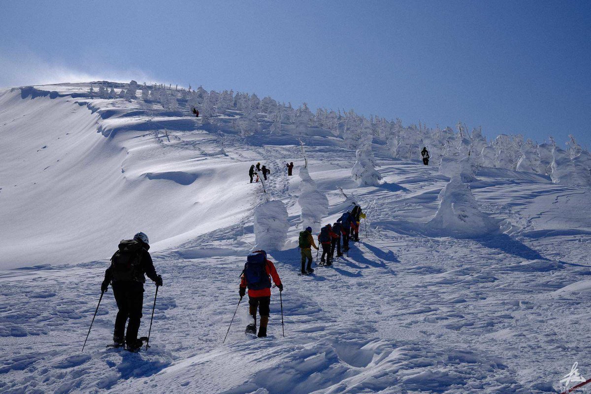 f:id:taisho_goes:20210207205712j:plain