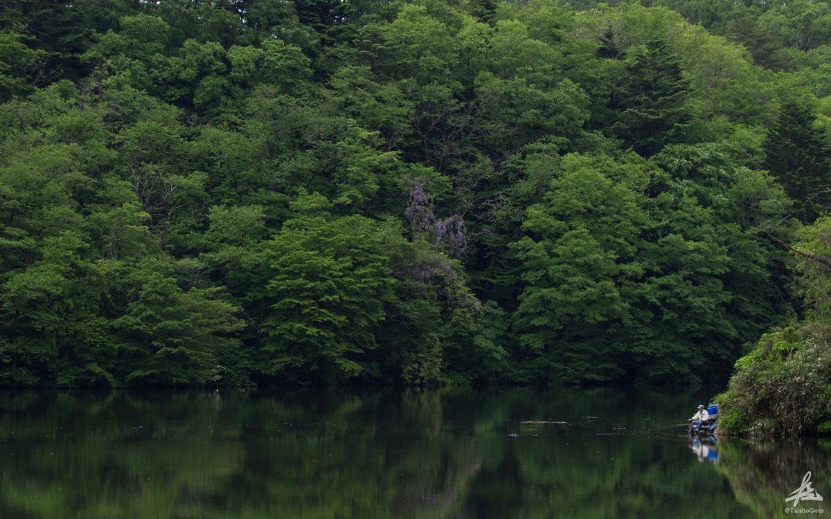 f:id:taisho_goes:20210421202016j:plain